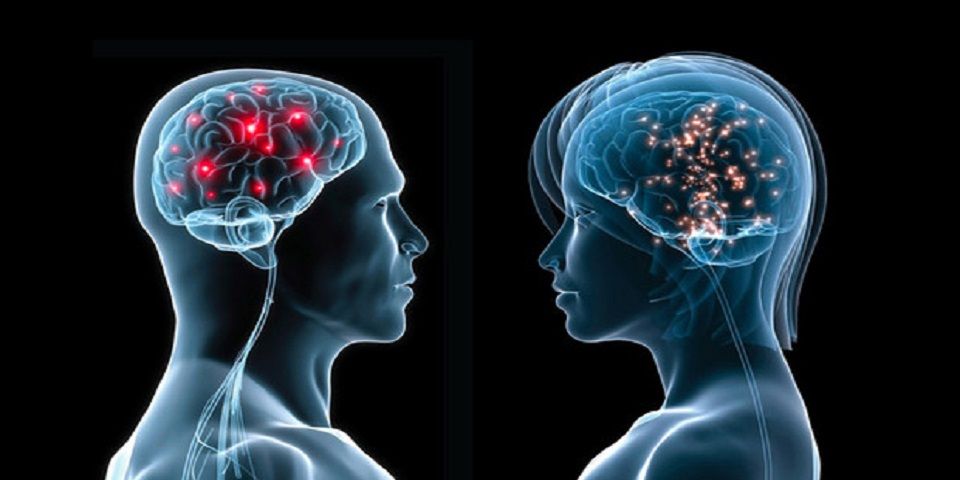 Así funciona nuestro cerebro ante la adversidad