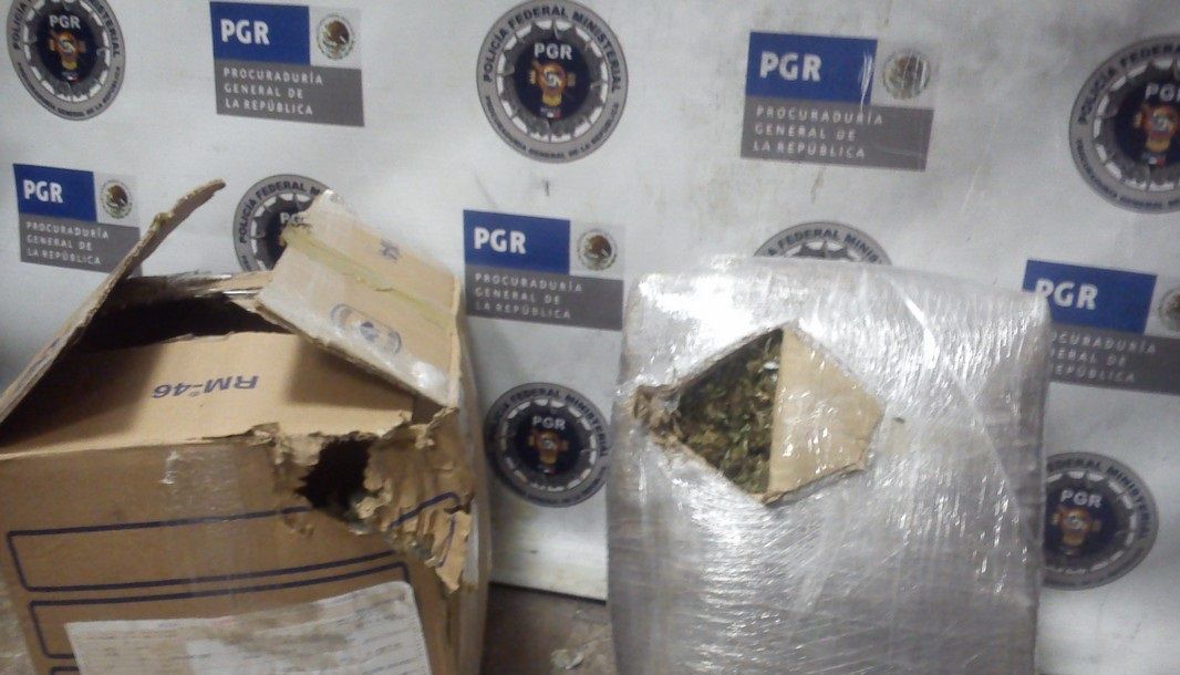 Sentencian a dos por posesión de mariguana en Morelos