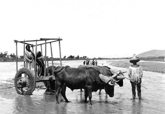 Foto México: reacciones, deseos y sueños - Foto_