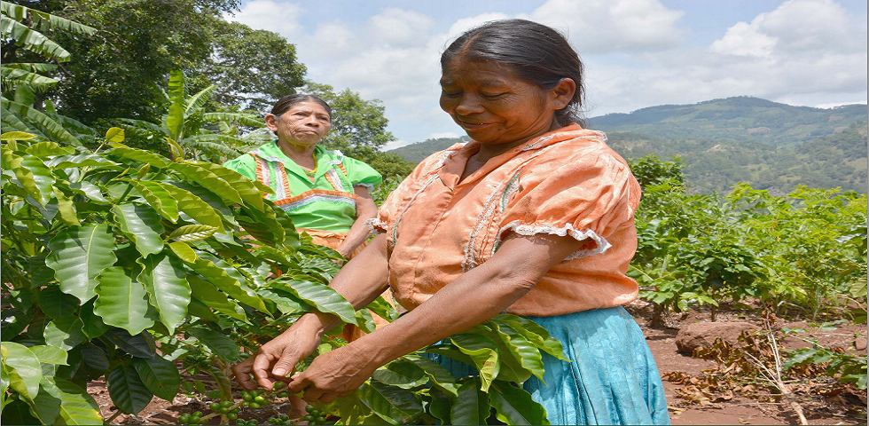 El cambio climático es también una cuestión de género