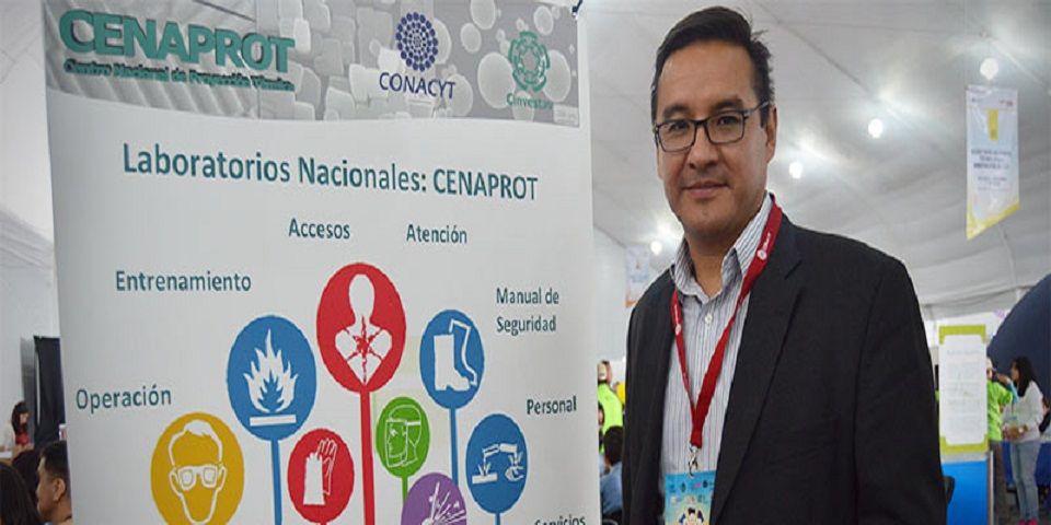 Desarrollan implantes de cadera hechos con huesos de bovino