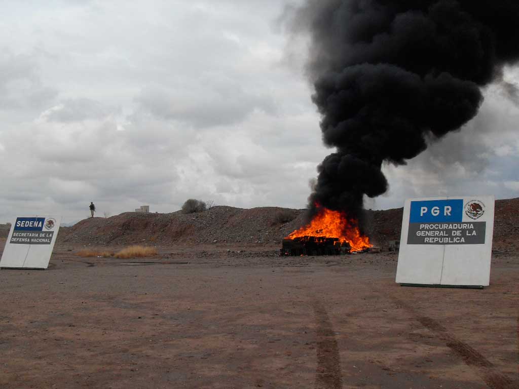 PGR destruye nueve toneladas de enervantes en Sonora