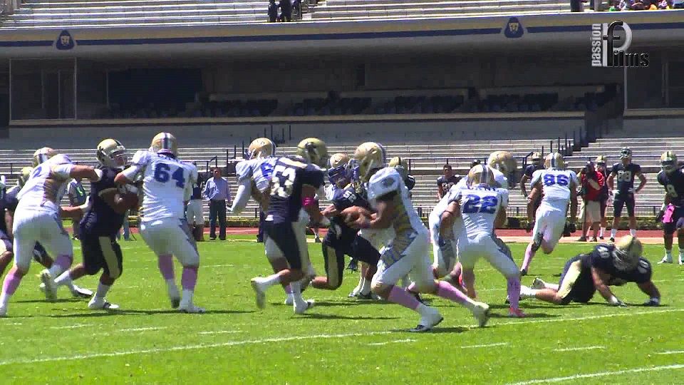 Pumas CU y Auténticos Tigres disputarán final de la ONEFA