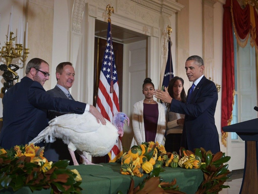 Obama indulta a dos pavos - Pavo11-1024x768