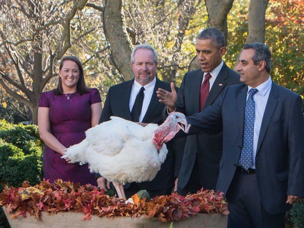 Obama indulta a dos pavos - Pavo14-1024x768