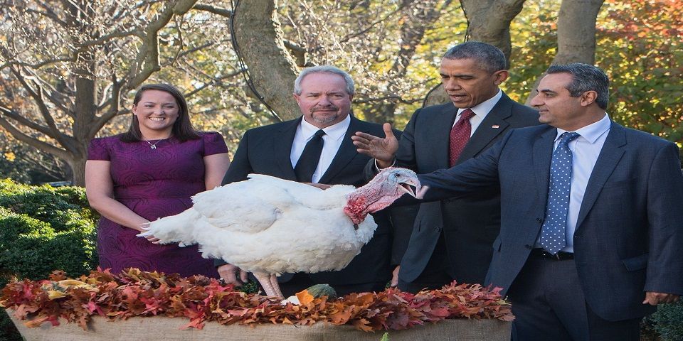 Obama indulta a dos pavos Obama indulta a dos pavos
