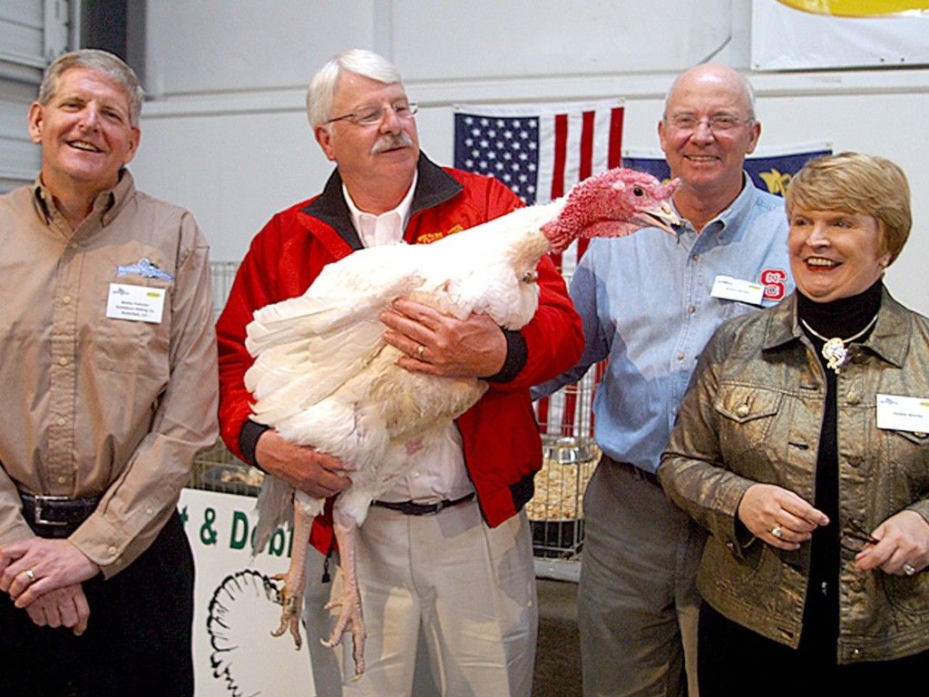 Obama indulta a dos pavos - Pavo2-1024x768