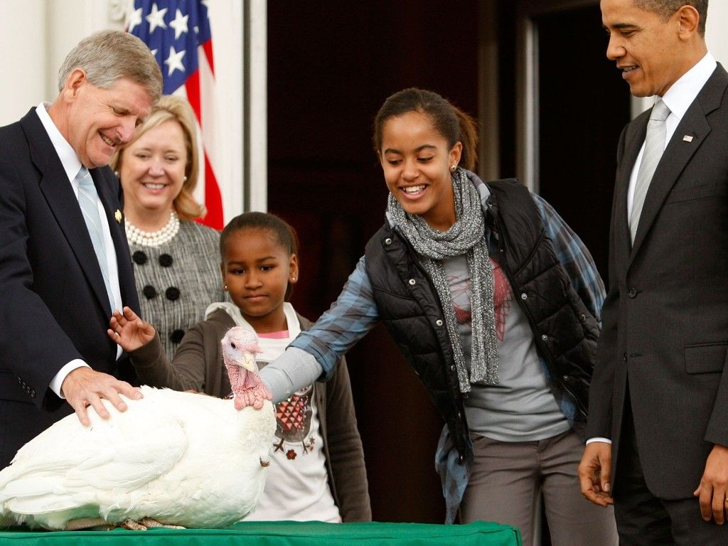 Obama indulta a dos pavos - Pavo3-1024x768