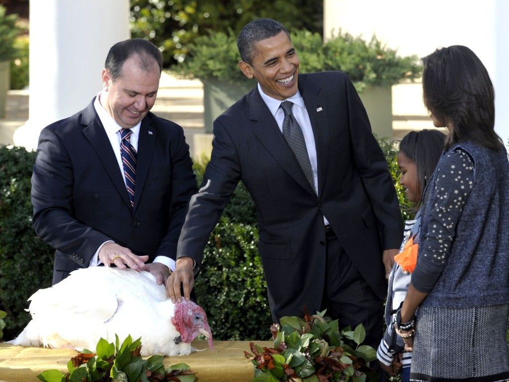 Obama indulta a dos pavos - Pavo5-1024x768