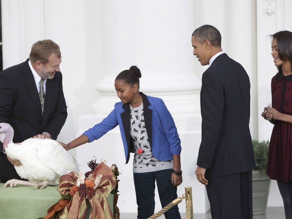 Obama indulta a dos pavos - Pavo6-1024x768