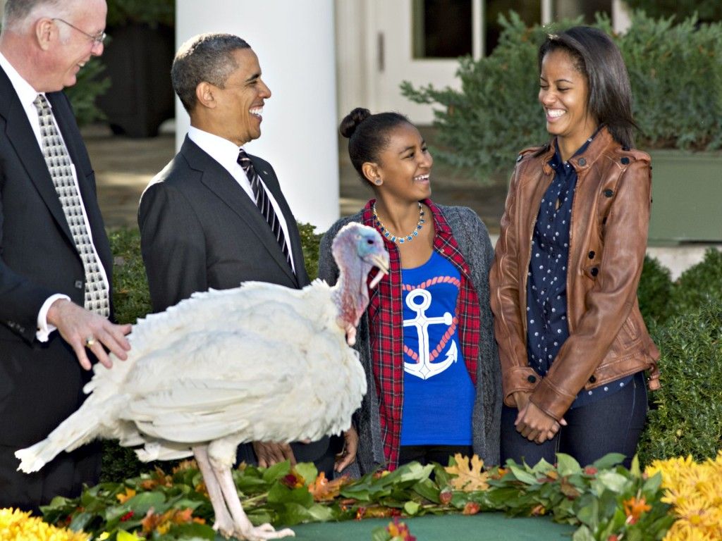 Obama indulta a dos pavos - Pavo8-1024x768