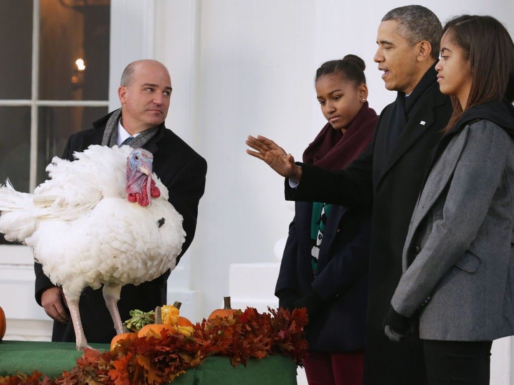 Obama indulta a dos pavos - Pavo9-1024x768