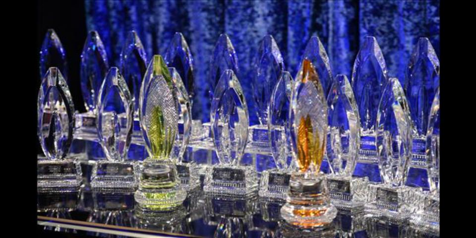 Se dan a conocer los nominados de los People’s Choice Awards 2016