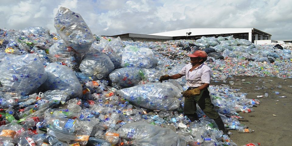 Reciclaje genera más de 40 mil mdp anuales en México
