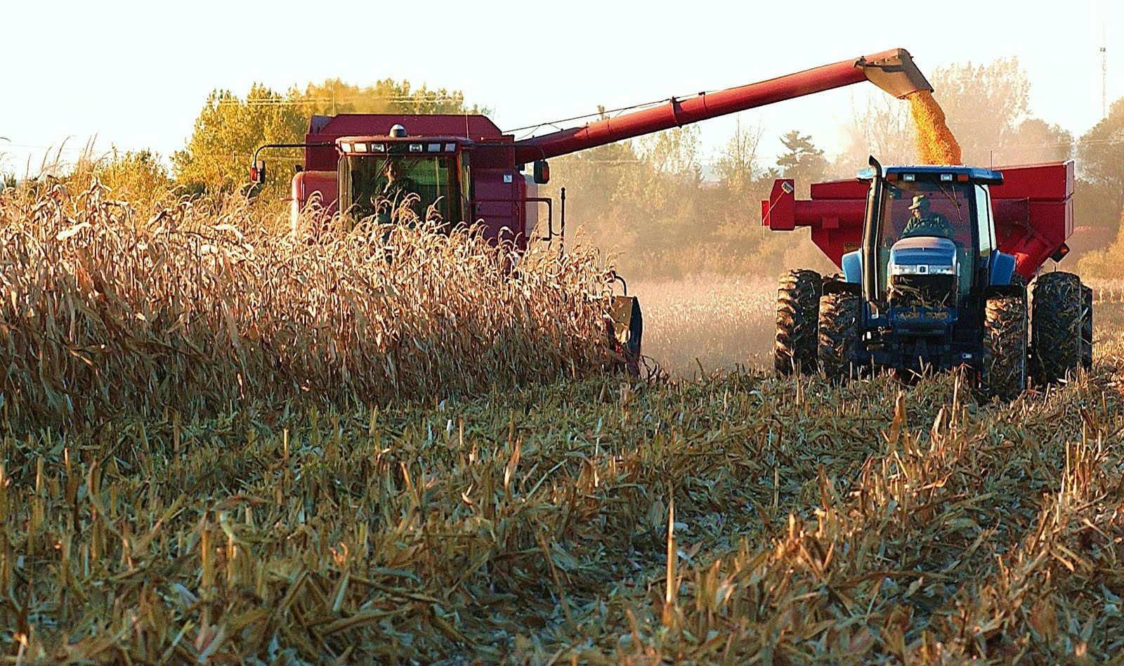 Aumento del precio de los alimentos es debido al clima: FAO Aumento del precio de los alimentos es debido al clima: FAO