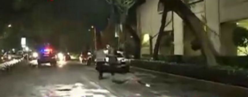 Caída de árbol en Polanco afecta el tráfico