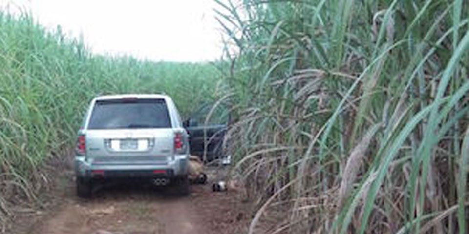 Encuentran 8 cuerpos en los límites de Veracruz y Oaxaca