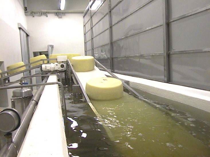 ¿Qué es el queso Parmigiano Reggiano? - cheese-brining-system-55258-3665723