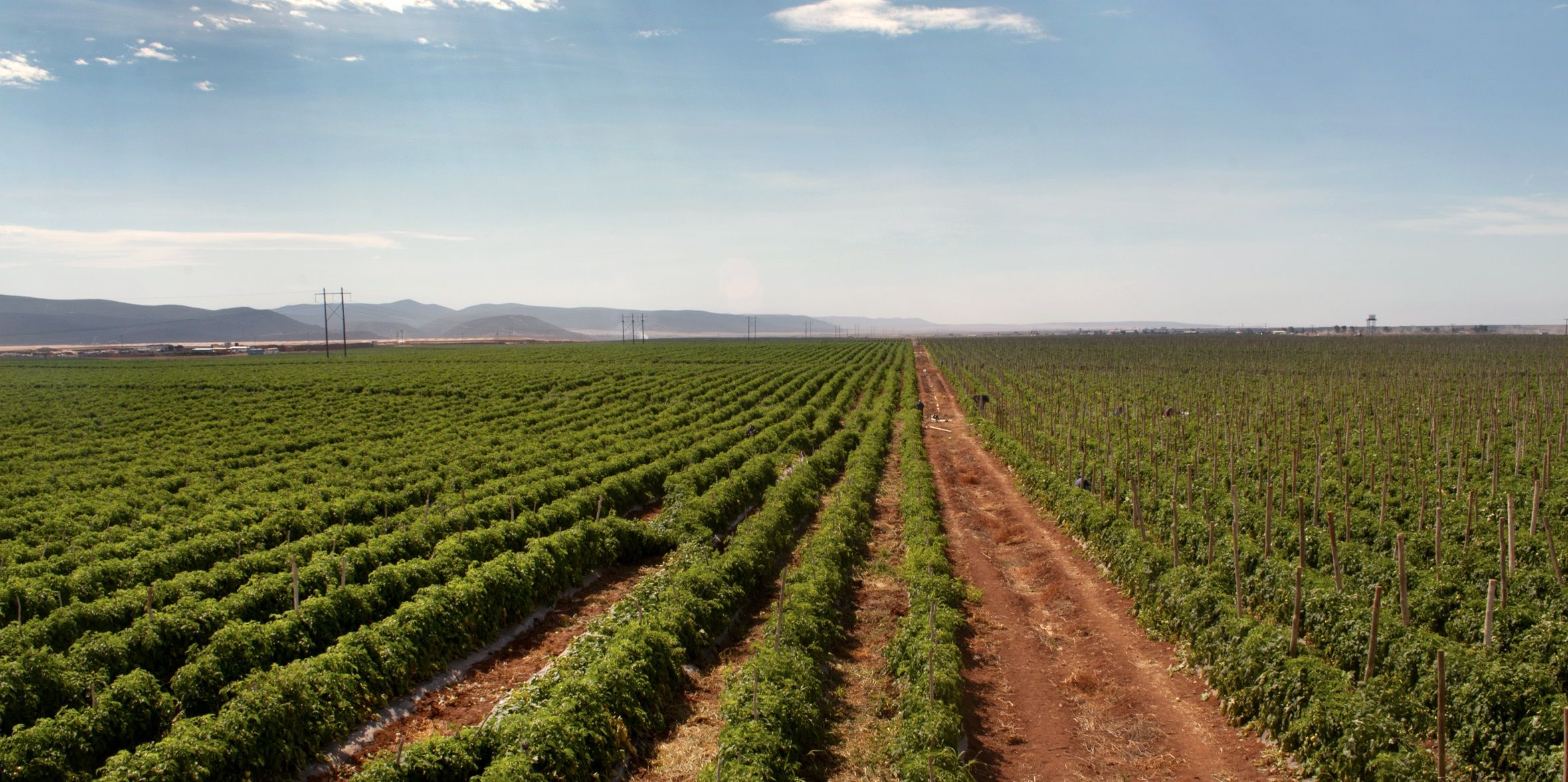 Empresas francesas buscan mayor participación en campo mexicano