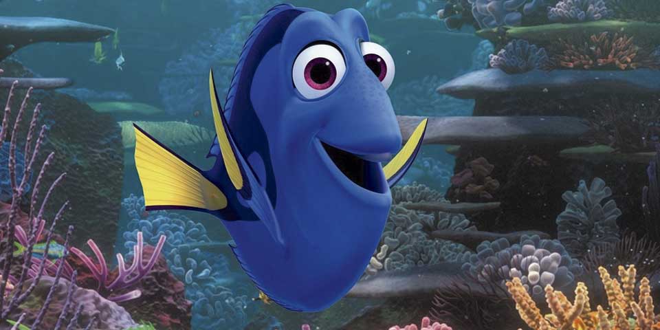 Científicos logran criar en cautiverio al pez "Dory" - dory