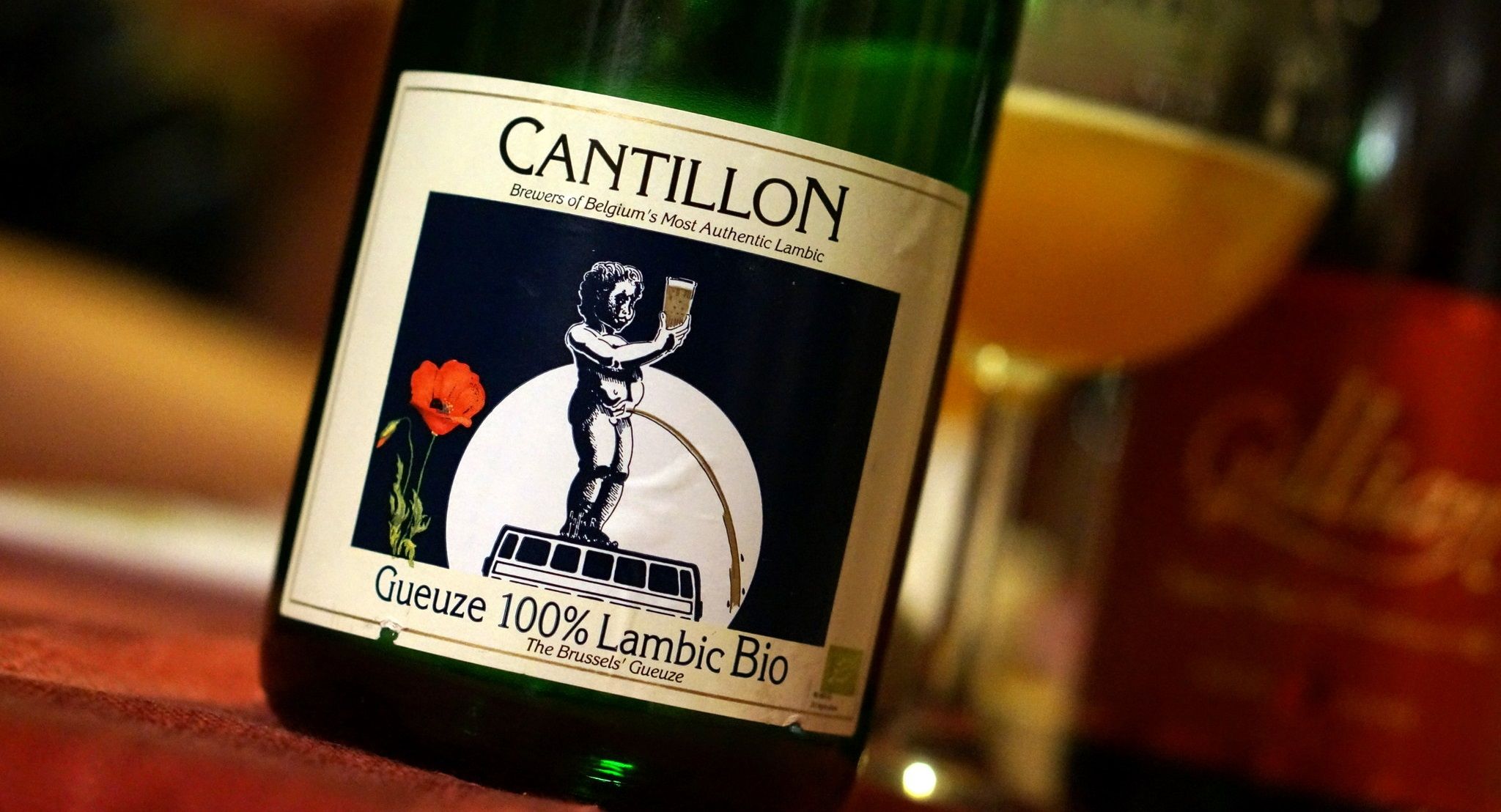 Calentamiento global afecta a la producción de cerveza