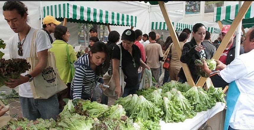 Mercado del trueque reúne a más de 3 mil personas