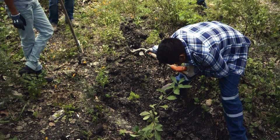 Confirma PGR hallazgo de cuatro cuerpos en fosas de Guerrero