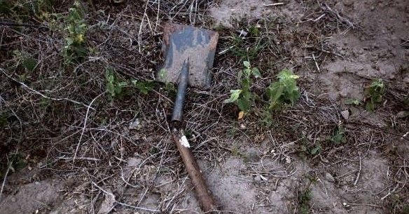 Hallan fosa con restos humanos en Carrizalillo, Guerrero