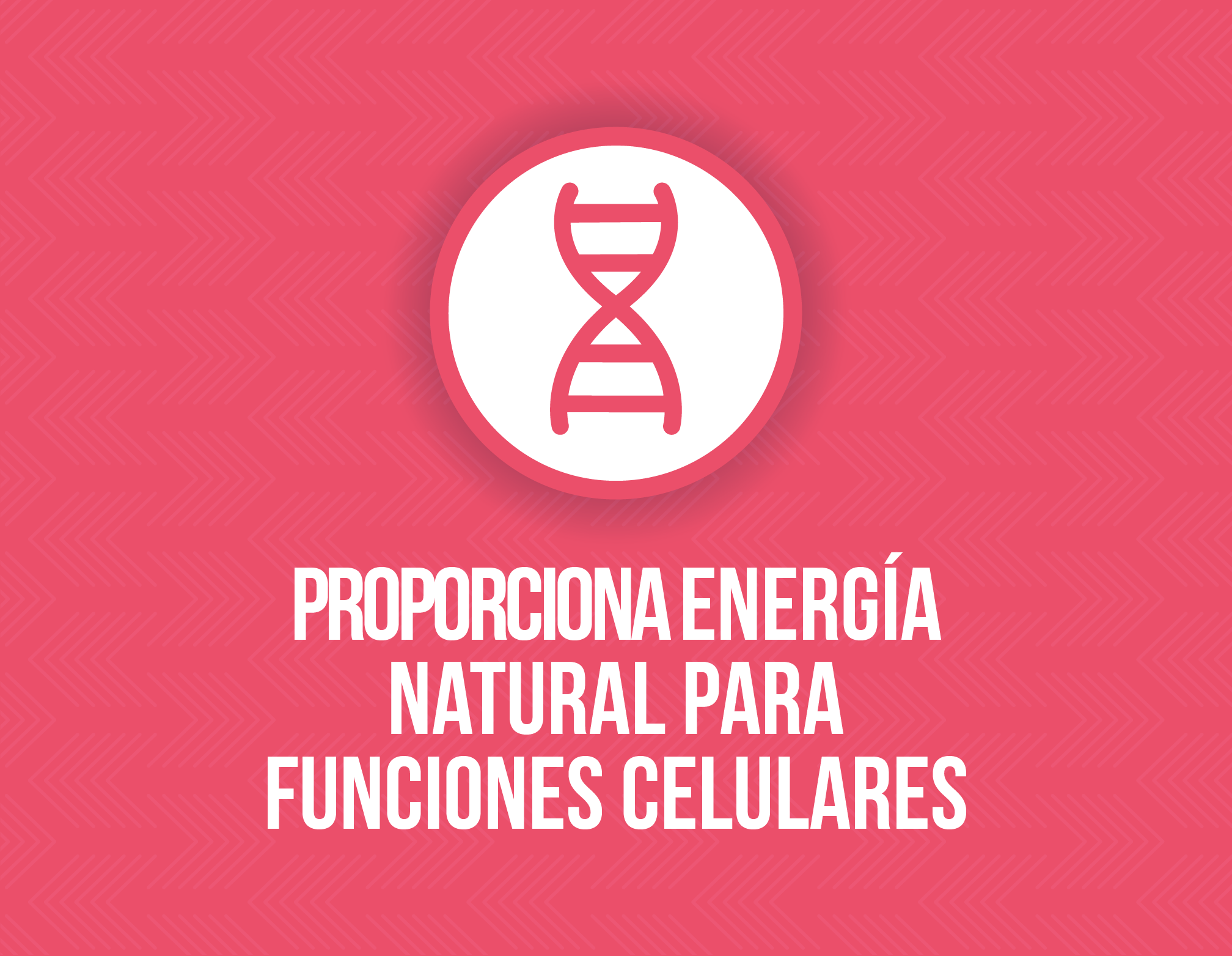 Cinco razones para consumir azúcar y rendir más a la hora de ejercitarte - funciones-naturales-azucar