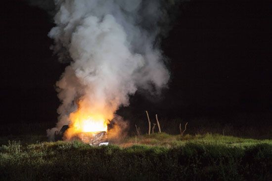 Foto México: reacciones, deseos y sueños - lobo-m