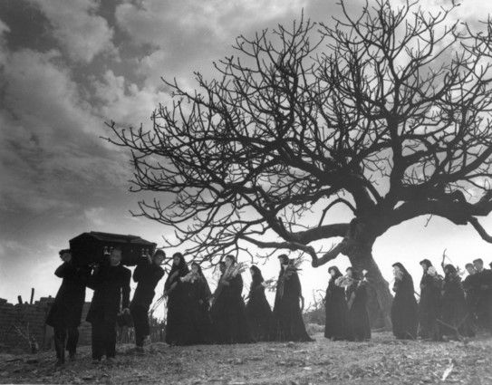 México fotografiado por Luis Buñuel se muestra en festival de Gijón - luis-buñuel3