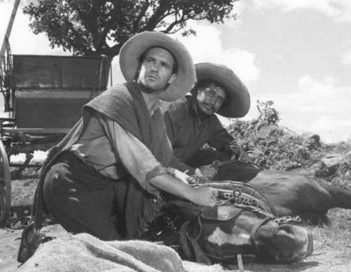 México fotografiado por Luis Buñuel se muestra en festival de Gijón - luis-buñuel5