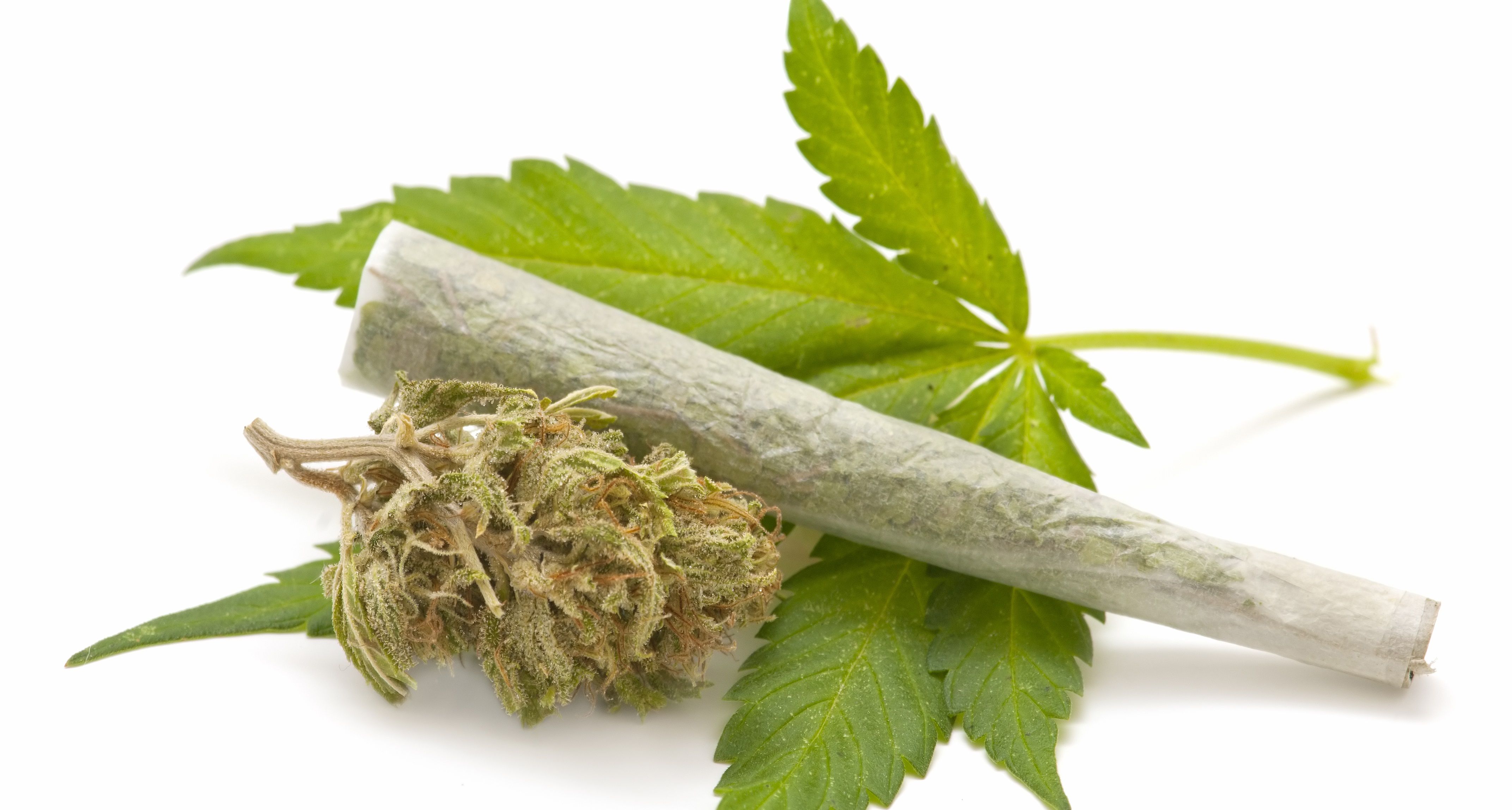 La mariguana y otras drogas ya habían sido legales en México