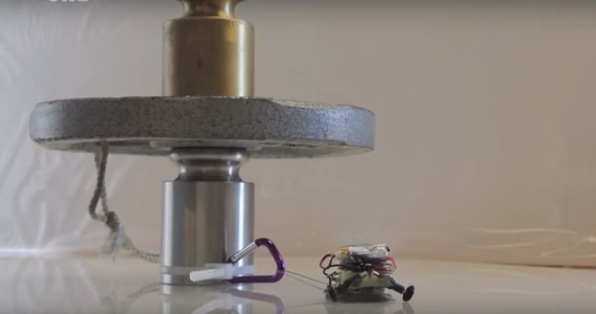 Video: los robots capaces de arrastrar objetos 2 mil veces más pesados