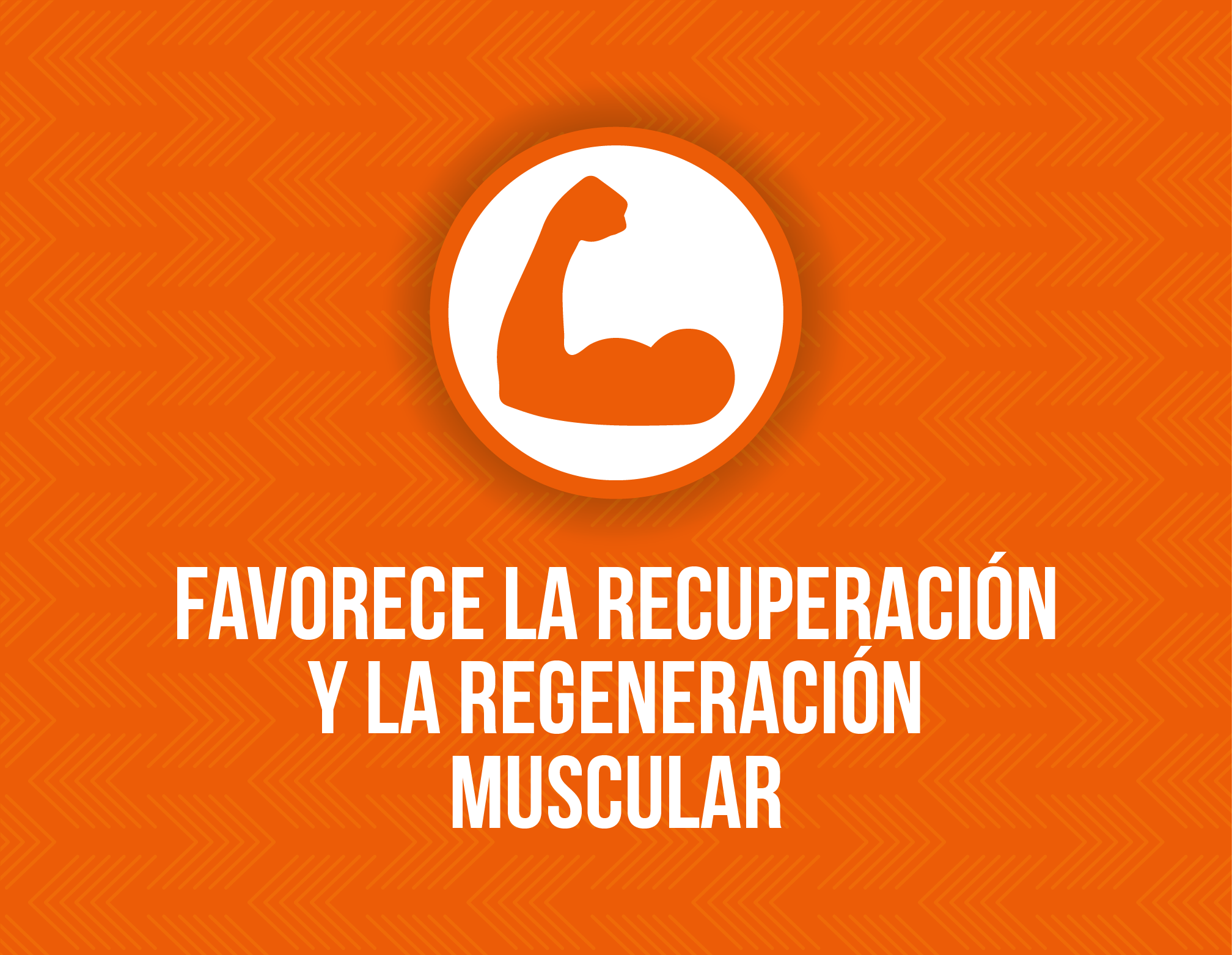 Cinco razones para consumir azúcar y rendir más a la hora de ejercitarte - musculos-azucar