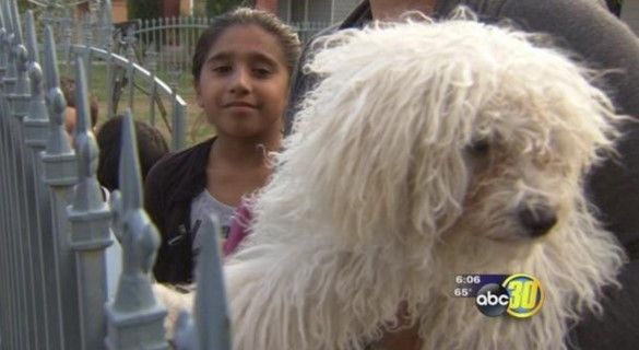 Hombre ayuda a familia para recuperar a su perro perdido