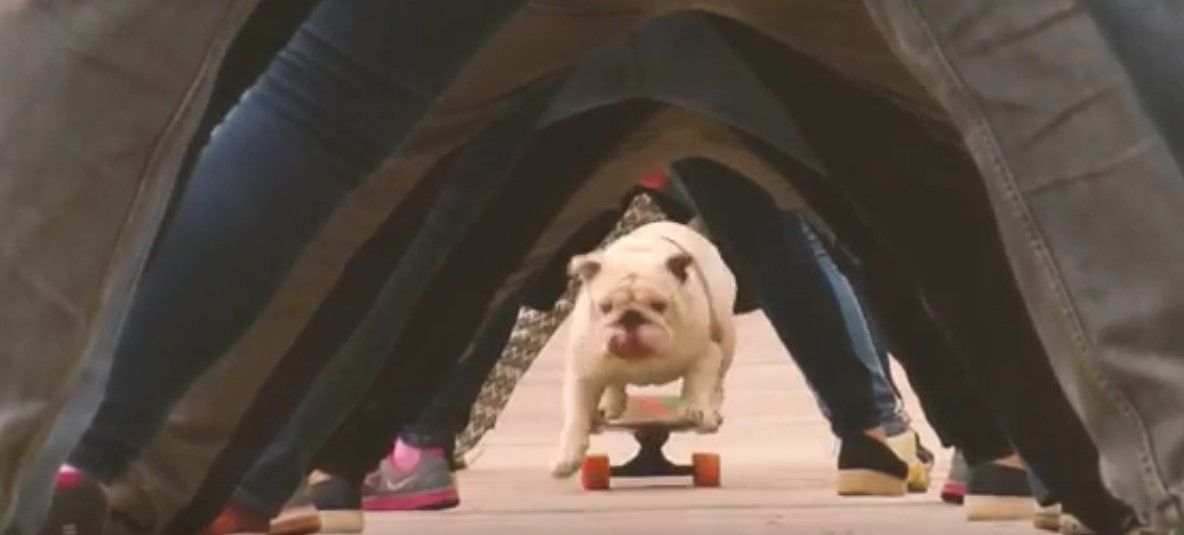 Video: los Récord Guinness más extravagantes