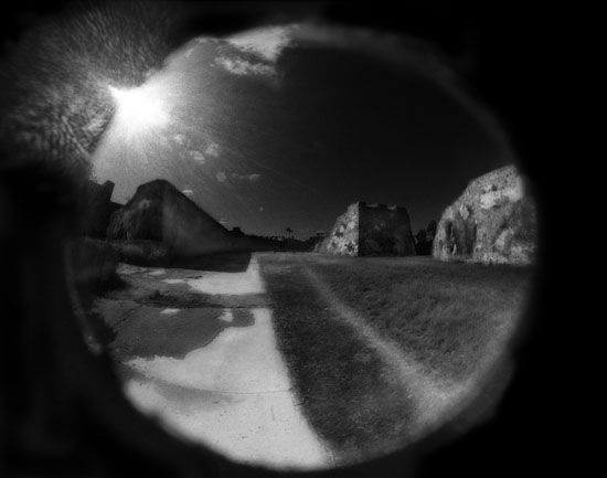 Foto México: reacciones, deseos y sueños - reinaldo-echemendia