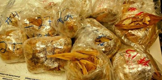 Decomisan 450 tamales en EE.UU.