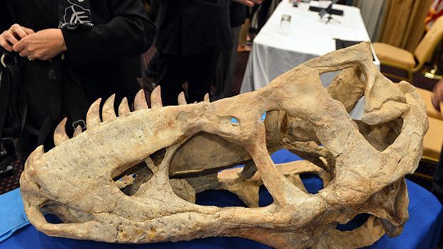 Nicolas Cage compra cráneo de dinosaurio robado - 151222172337_tyrannosaurus_bataar__624x351_getty_nocredit