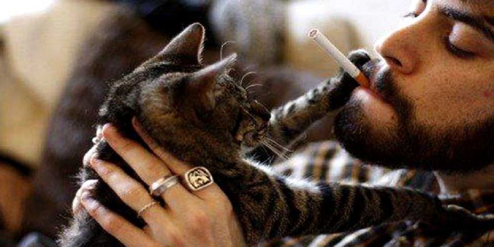 Fumar también es malo para salud de animales domésticos Fumar también es malo para salud de animales domésticos