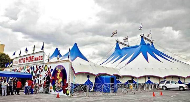 Caen trapecistas en función del Circo Atayde Hermanos