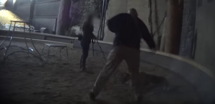 Captan a entrenador agrediendo a tigre