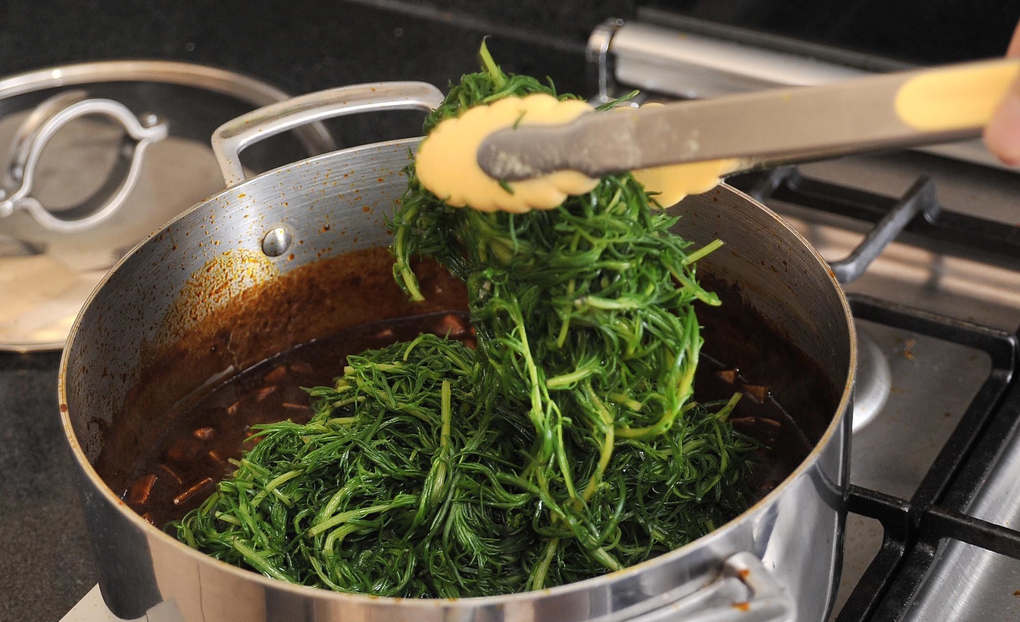 Tláhuac y Xochimilco los mayores productores de romeritos Tláhuac y Xochimilco los mayores productores de romeritos