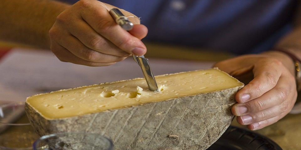 Queso Gruyere gana el World Cheese Awards 2015
