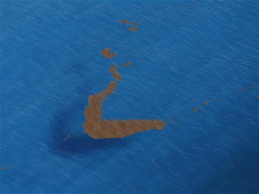 Las mejores fotos aéreas de Reuters - Reuters_1