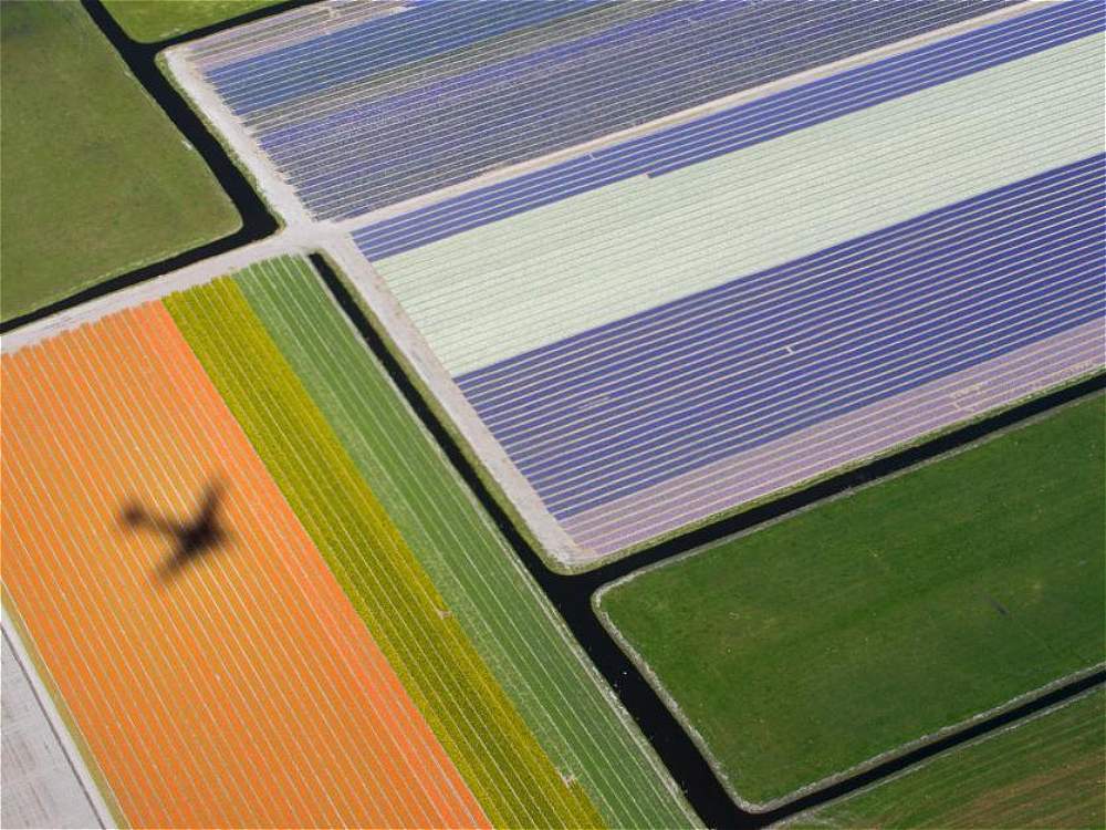Las mejores fotos aéreas de Reuters - Reuters_15