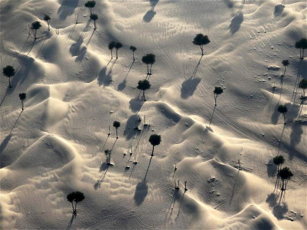 Las mejores fotos aéreas de Reuters - Reuters_16