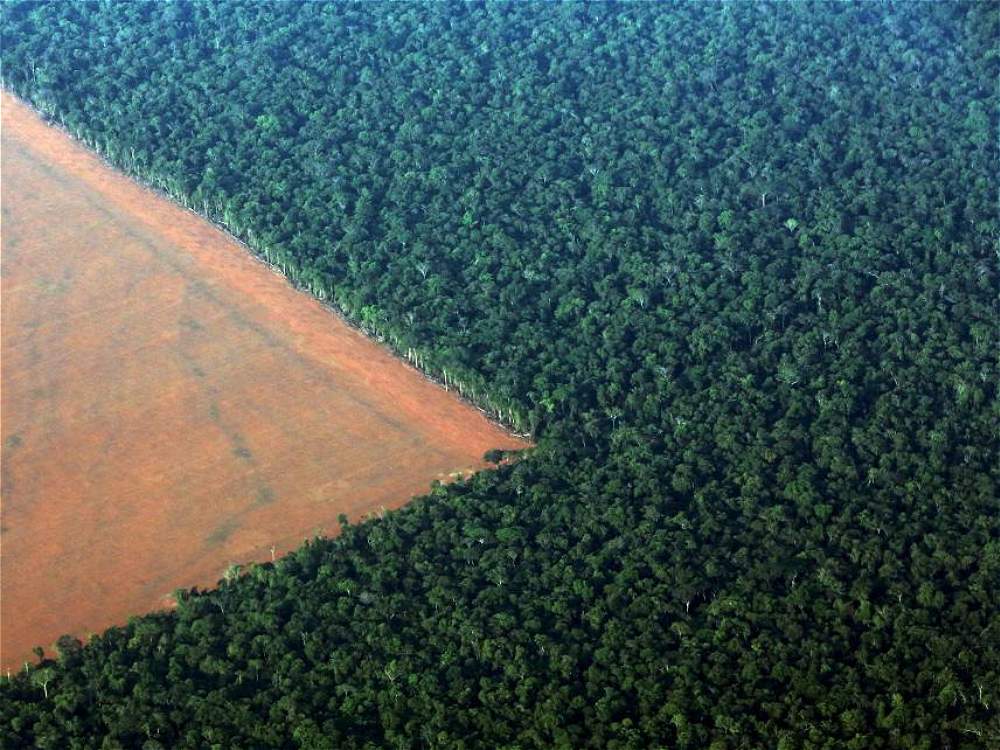 Las mejores fotos aéreas de Reuters - Reuters_18