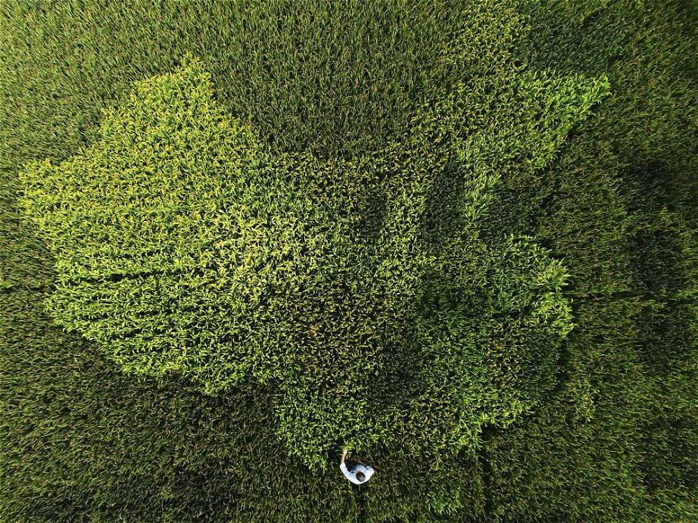 Las mejores fotos aéreas de Reuters - Reuters_3